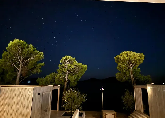 Willa Gioia Front Drage